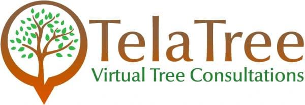 A logo of the telatech virtual tree company.
