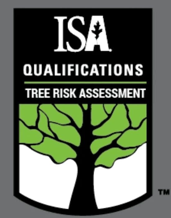 A tree is shown with the words isa qualifications and tree risk assessment underneath.