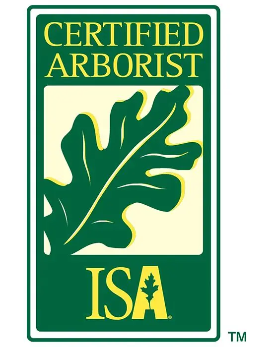 A certified arborist isa logo with an oak leaf.