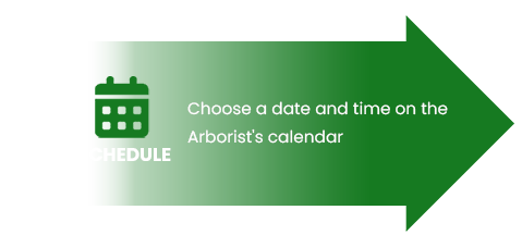 A green screen with the words arborist 's calendar in front of it.